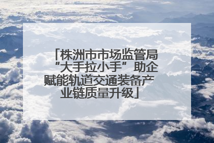株洲市市场监管局“大手拉小手”助企赋能轨道交通装备产业链质量升级