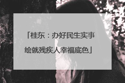 桂东：办好民生实事 绘就残疾人幸福底色