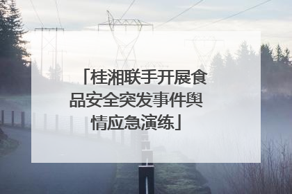 桂湘联手开展食品安全突发事件舆情应急演练