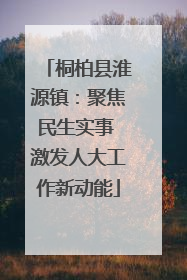 桐柏县淮源镇：聚焦民生实事 激发人大工作新动能