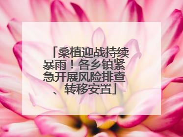 桑植迎战持续暴雨！各乡镇紧急开展风险排查、转移安置