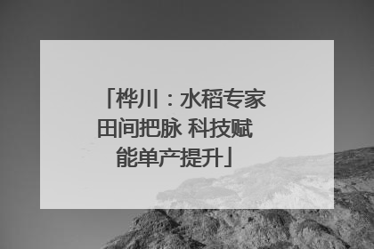 桦川：水稻专家田间把脉 科技赋能单产提升