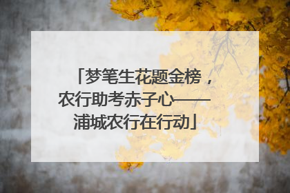 梦笔生花题金榜，农行助考赤子心——浦城农行在行动