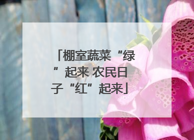 棚室蔬菜“绿”起来 农民日子“红”起来