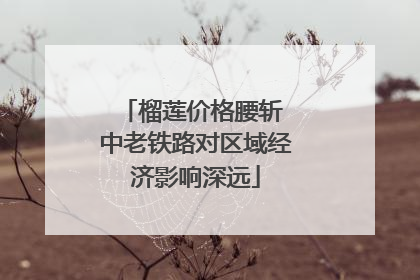 榴莲价格腰斩 中老铁路对区域经济影响深远