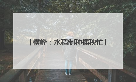 横峰：水稻制种插秧忙