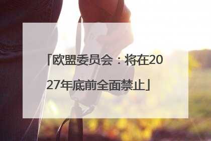 欧盟委员会：将在2027年底前全面禁止