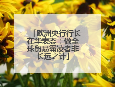 欧洲央行行长在华表态：做全球贸易霸凌者非长远之计