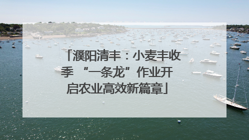 濮阳清丰：小麦丰收季 “一条龙”作业开启农业高效新篇章