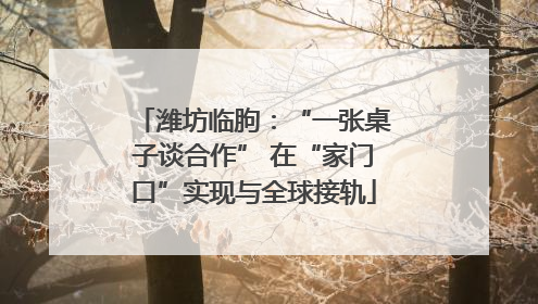 潍坊临朐：“一张桌子谈合作” 在“家门口”实现与全球接轨
