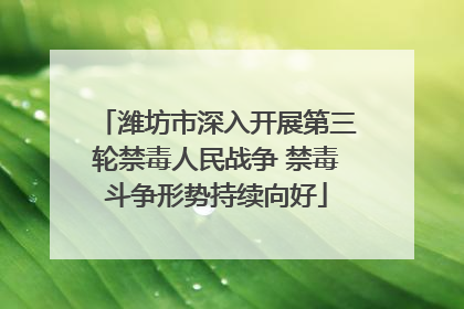 潍坊市深入开展第三轮禁毒人民战争 禁毒斗争形势持续向好