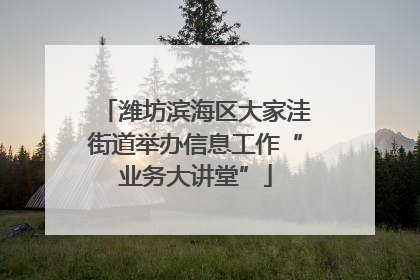 潍坊滨海区大家洼街道举办信息工作“业务大讲堂”