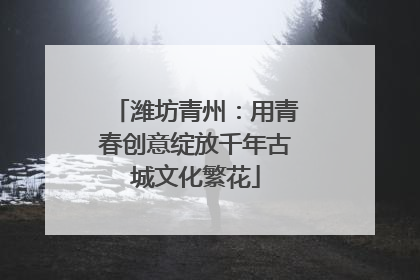 潍坊青州：用青春创意绽放千年古城文化繁花