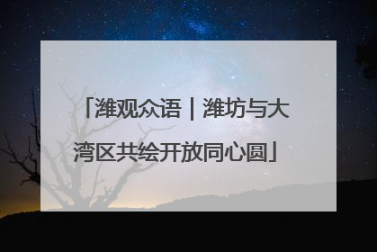 潍观众语｜潍坊与大湾区共绘开放同心圆