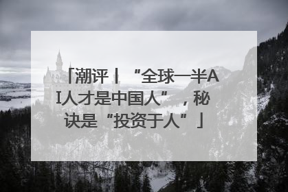 潮评丨“全球一半AI人才是中国人”，秘诀是“投资于人”
