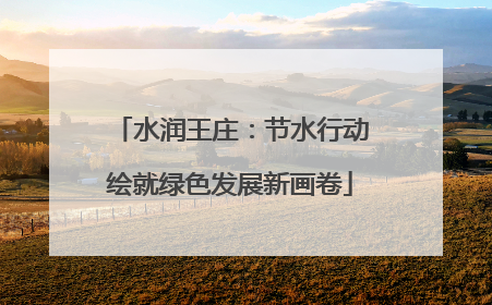 水润王庄：节水行动绘就绿色发展新画卷