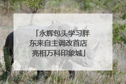 永辉包头学习胖东来自主调改首店亮相万科印象城