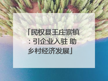 民权县王庄寨镇：引企业入驻 助乡村经济发展