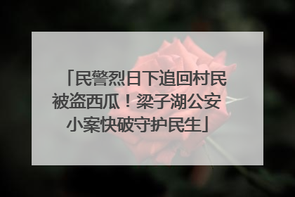 民警烈日下追回村民被盗西瓜！梁子湖公安小案快破守护民生