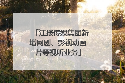 江报传媒集团新增网剧、影视动画片等视听业务
