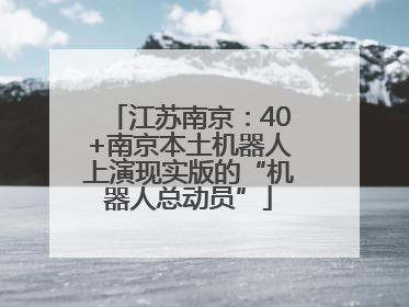 江苏南京：40+南京本土机器人上演现实版的“机器人总动员”