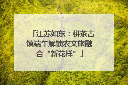 江苏如东：栟茶古镇端午解锁农文旅融合“新花样”