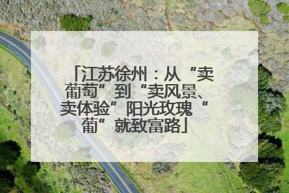 江苏徐州：从“卖葡萄”到“卖风景、卖体验”阳光玫瑰“葡”就致富路