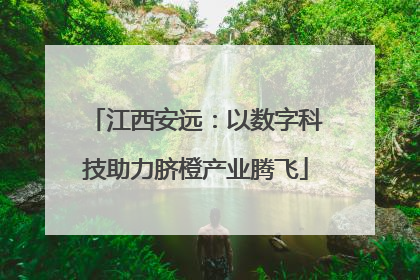 江西安远：以数字科技助力脐橙产业腾飞