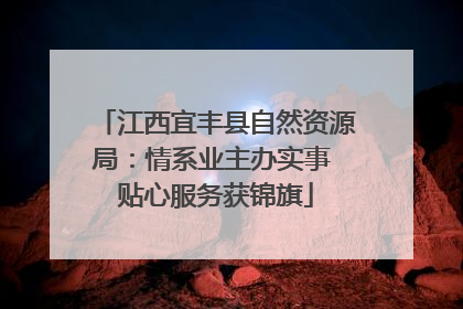 江西宜丰县自然资源局：情系业主办实事 贴心服务获锦旗