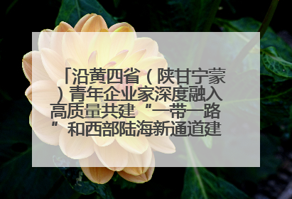 沿黄四省（陕甘宁蒙）青年企业家深度融入高质量共建“一带一路”和西部陆海新通道建设战略合作交流会在甘肃兰州召开