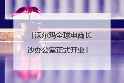 沃尔玛全球电商长沙办公室正式开业