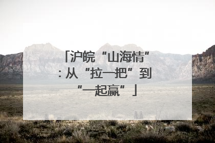 沪皖“山海情”：从“拉一把”到“一起赢”
