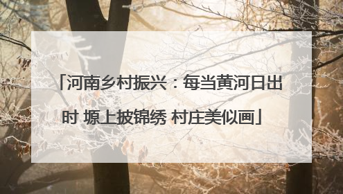 河南乡村振兴：每当黄河日出时 塬上披锦绣 村庄美似画