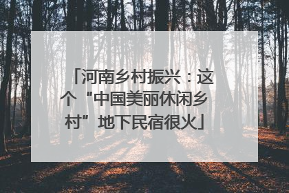河南乡村振兴：这个“中国美丽休闲乡村”地下民宿很火