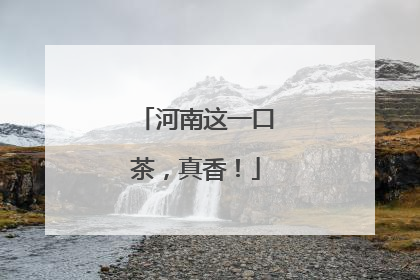 河南这一口茶，真香！
