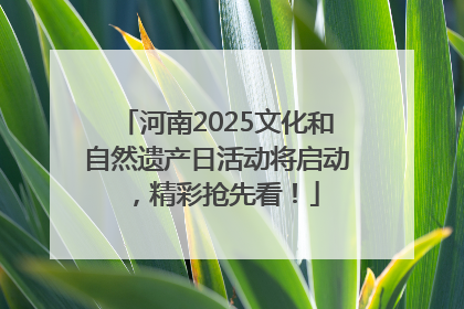河南2025文化和自然遗产日活动将启动，精彩抢先看！
