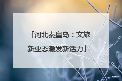 河北秦皇岛：文旅新业态激发新活力