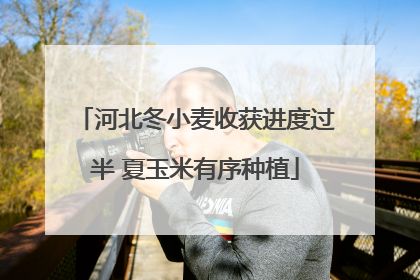 河北冬小麦收获进度过半 夏玉米有序种植