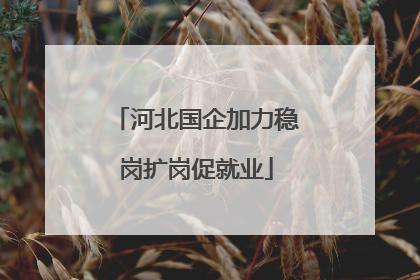 河北国企加力稳岗扩岗促就业