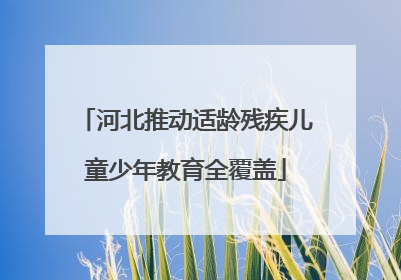 河北推动适龄残疾儿童少年教育全覆盖