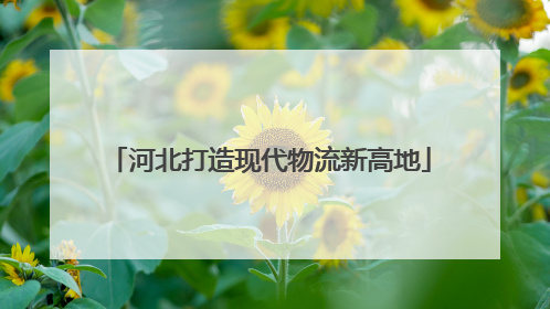 河北打造现代物流新高地