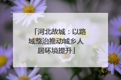 河北故城：以路域整治推动城乡人居环境提升