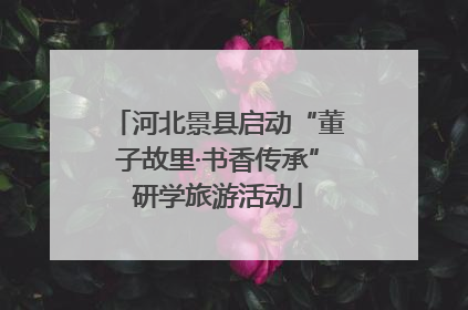 河北景县启动“董子故里·书香传承”研学旅游活动