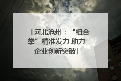 河北沧州：“组合拳”精准发力 助力企业创新突破