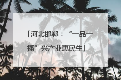 河北邯郸：“一品一播”兴产业惠民生