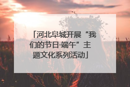 河北阜城开展“我们的节日·端午”主题文化系列活动