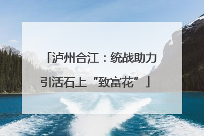 泸州合江：统战助力引活石上“致富花”