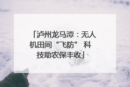 泸州龙马潭：无人机田间“飞防” 科技助农保丰收
