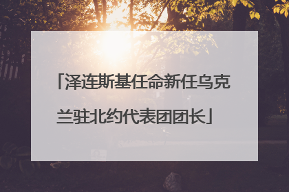 泽连斯基任命新任乌克兰驻北约代表团团长