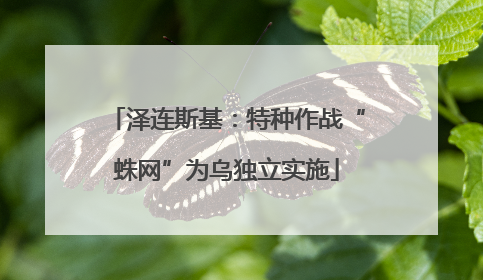 泽连斯基：特种作战“蛛网”为乌独立实施